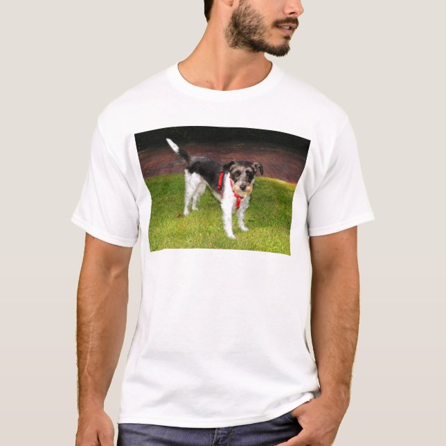 Camiseta terrier jack russel (Anverso)