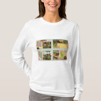 Camiseta Territorio de Arizona, Nebraska, Nevada, Arkansas