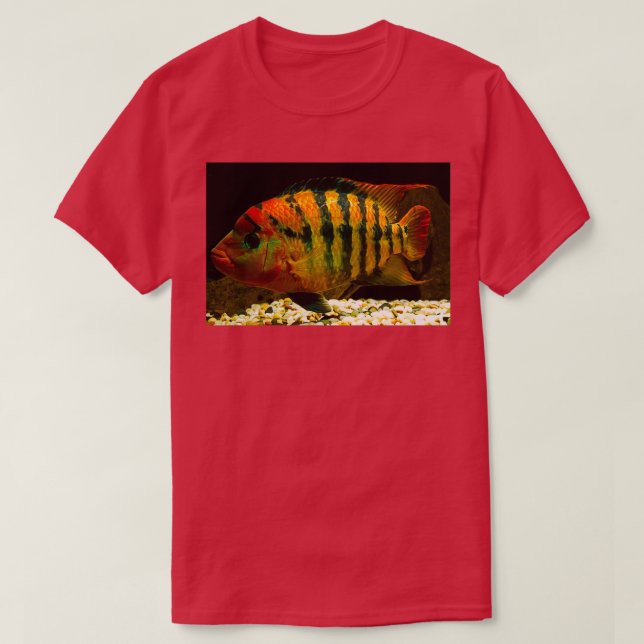 Camiseta Terror rojo Cichlasoma festae hembra (Diseño del anverso)