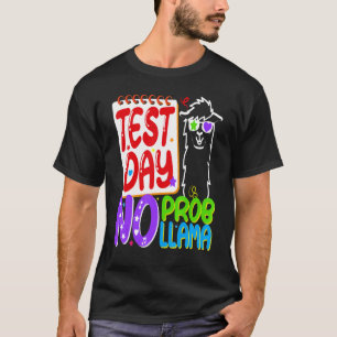Camiseta Test Day No Probllama Test Day For Teachers Rainbo