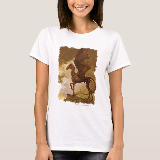 Camiseta Testral (Anverso)