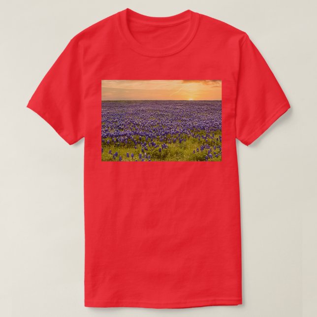 Camiseta Texas Bluebonnets 6 (Diseño del anverso)