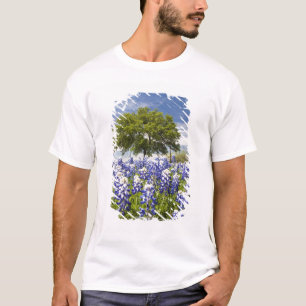 Camiseta Texas bluebonnets(lupinus texensis) y roble