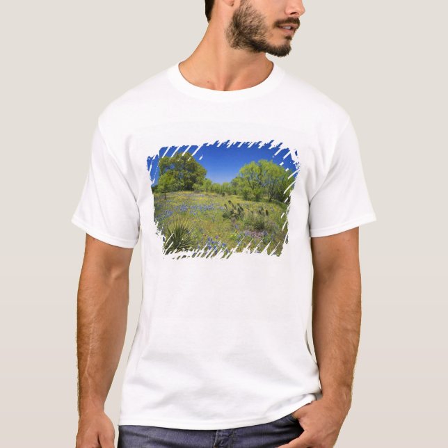 Camiseta Texas, Texas Hill Country, Low bladderpod, (Anverso)