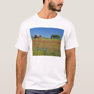 Camiseta Texas, Texas Hill Country, pincel de Texas