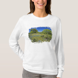 Camiseta Texas, Texas Hill Country, vejiga baja,
