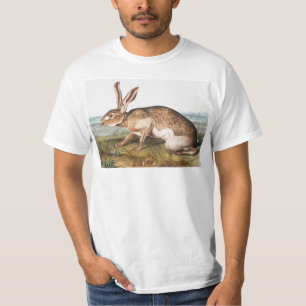 Camiseta Texian Hare (Lepus Texianus) Ilustracion de conejo