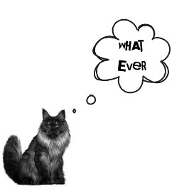 Camiseta TEXTO personalizado - Chicos, lo que sea - Gatos p