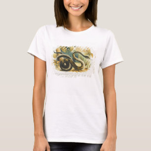 Camiseta The Boa Constrictor, educational illustration pub.