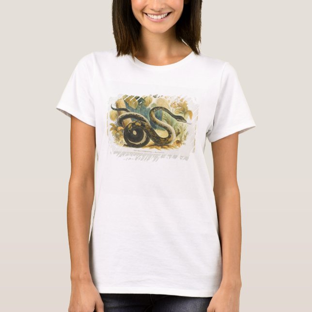 Camiseta The Boa Constrictor, educational illustration pub. (Anverso)