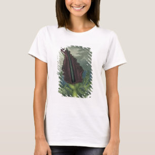 Camiseta The Dragon Arum, engraved by Ward, from 'The Templ