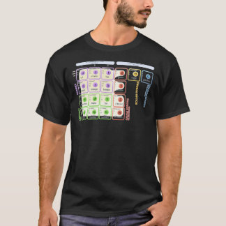 Camiseta The Standard Model Of Particle Physics