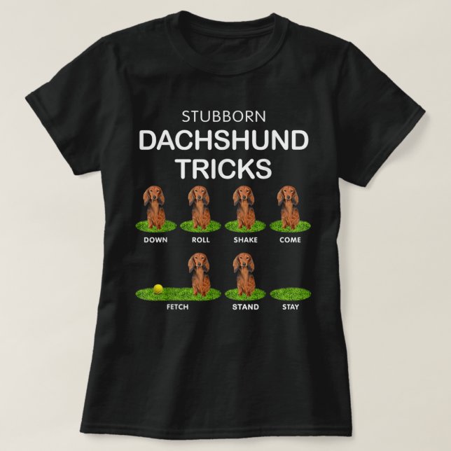 Camiseta Thick Headed Dog - Funny Long Hair Dachshund for C (Diseño del anverso)