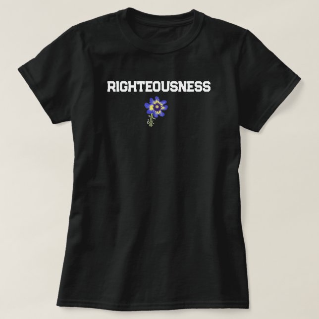 Camiseta This Women Christian shir is too share the gospel! (Diseño del anverso)