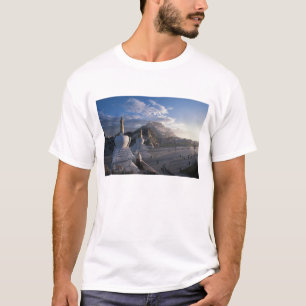 Camiseta Tibet - Lhasa. Potala al amanecer