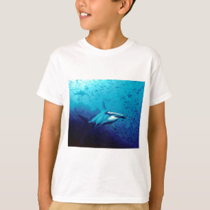 Camiseta Tiburón de Hammerhead