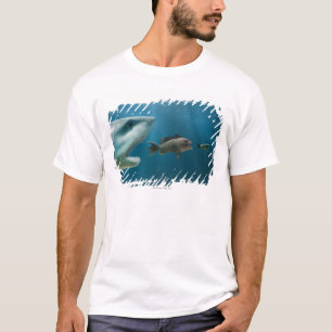 Camiseta Tiburón que persigue la lubina que persigue al