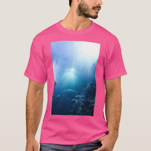 Camiseta Tiburones y luz desde arriba en el acuario de Tenn