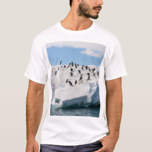 Camiseta Tiempo de reproducción de Gentoo Penguin Antártica