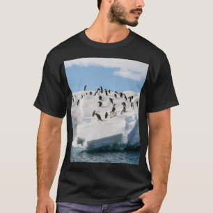 Camiseta Tiempo de reproducción de Gentoo Penguin Antártica