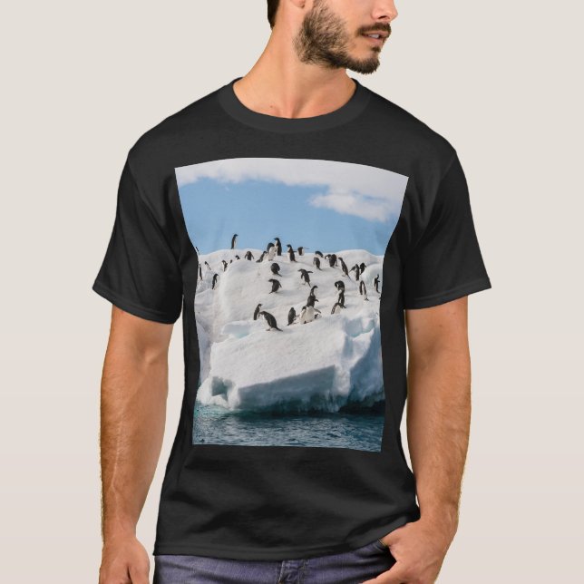 Camiseta Tiempo de reproducción de Gentoo Penguin Antártica (Anverso)