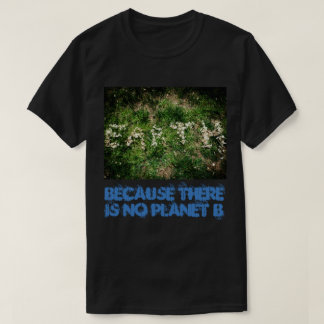 Camiseta Tierra y cambio de clima