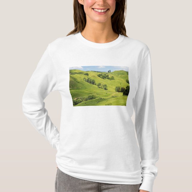 Camiseta Tierras agrícolas cerca de Gisborne, Nueva Zelandi (Anverso)