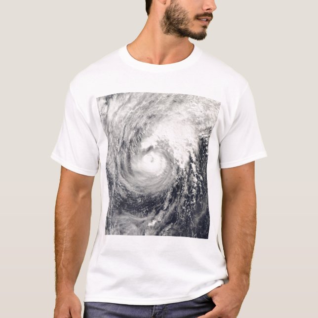 Camiseta Tifón delfín en el mar de Filipinas (Anverso)