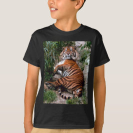 Camiseta Tigre