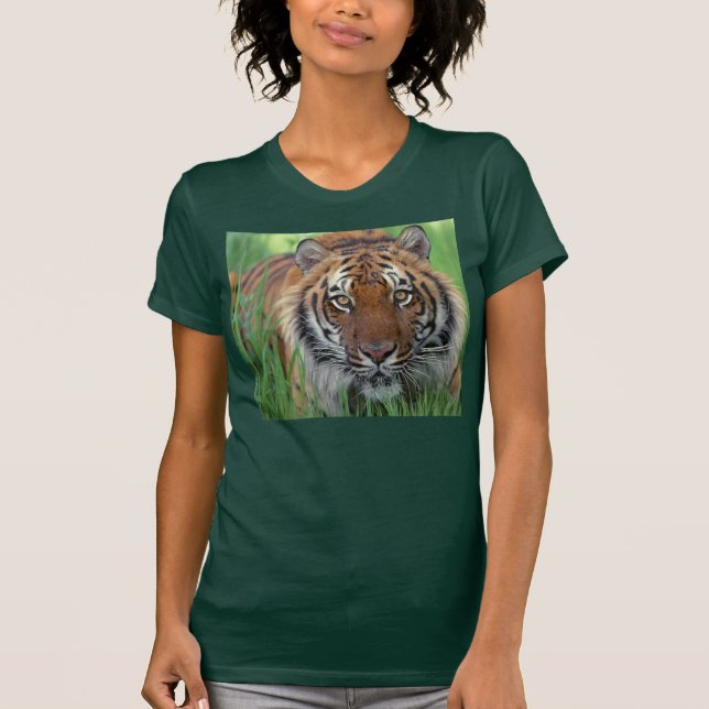 Camiseta Tigre (Anverso)