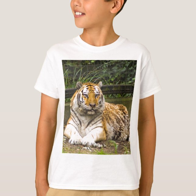 Camiseta Tigre (Anverso)