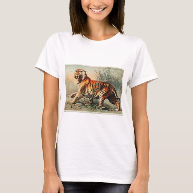 Camiseta Tigre bengalí vintage (Anverso)