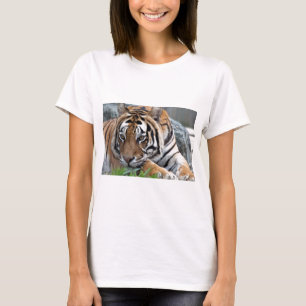 Camiseta Tigre de Bengala en hierba