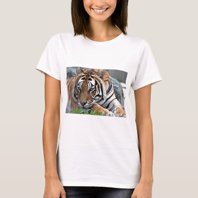 Camiseta Tigre de Bengala en hierba (Anverso)