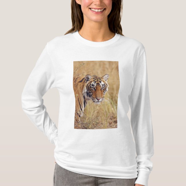 Camiseta Tigre de Bengala Real (Anverso)