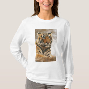 Camiseta Tigre de Bengala Real sobre la roca, Ranthambhor