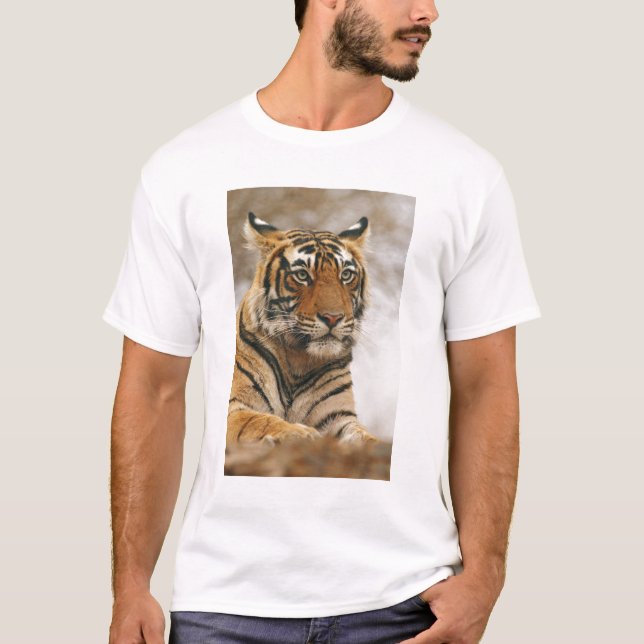 Camiseta Tigre de Bengala Real sobre la roca, Ranthambhor (Anverso)