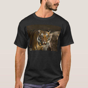 Camiseta Tigre de Siberia