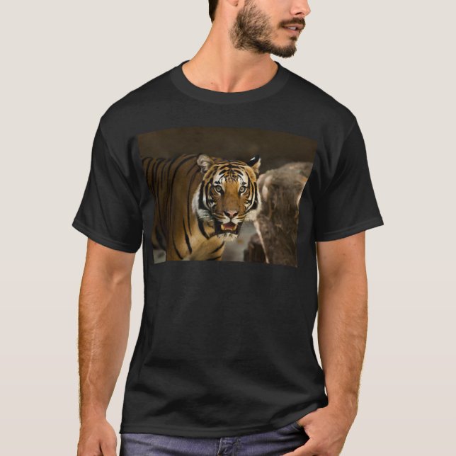Camiseta Tigre de Siberia (Anverso)