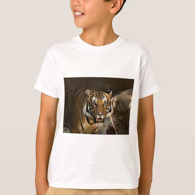 Camiseta Tigre de Siberia (Anverso)