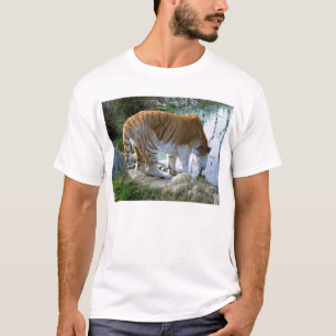 Camiseta Tigre indio