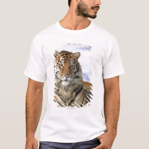 Camiseta Tigre siberiano, altaica del Tigris del Panthera,