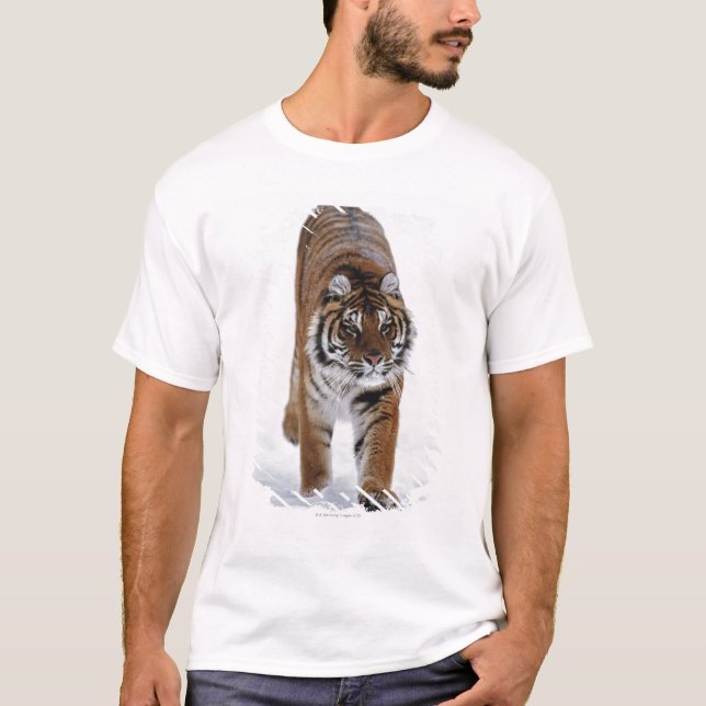 Camiseta Tigre siberiano en nieve (Anverso)