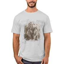 Tigre Vintage Estilo Boceto Da Vinci