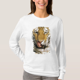 Camiseta Tigre Zoológico de Michigan