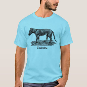 Camiseta tilacino 2