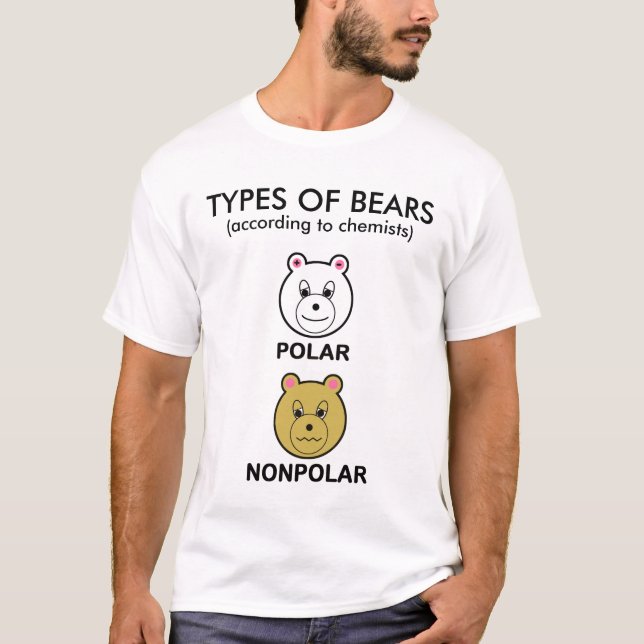 CAMISETA TIPOS DE OSOS (Anverso)