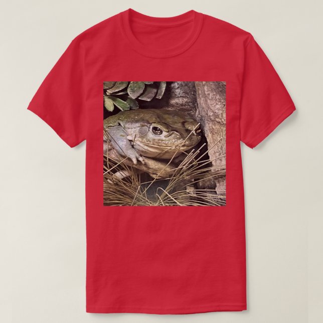 Camiseta Toad (Diseño del anverso)
