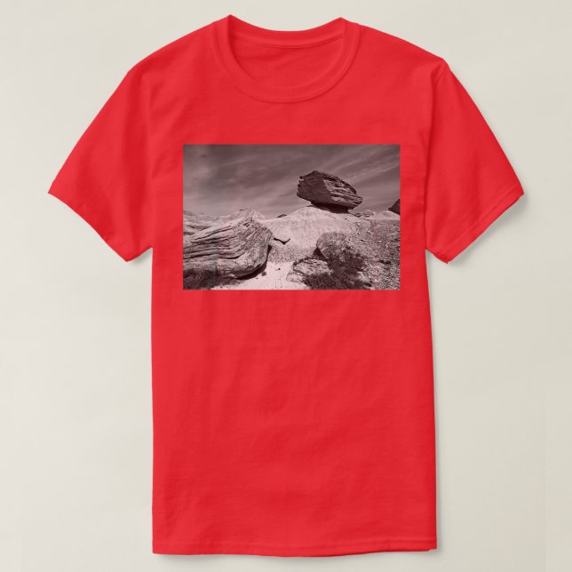 Camiseta Toadstool Geological Park Monochrome (Diseño del anverso)
