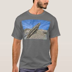 Camiseta Toadstool Parque Geológico 1